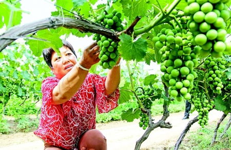 山西农民报数字报